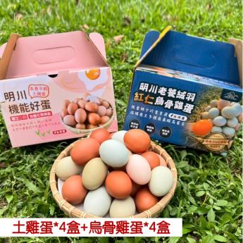 【8盒含運優惠組❹】<br>明川葉黃素紅仁土雞蛋*4盒 + 明川老饕絨羽烏骨雞蛋*4盒