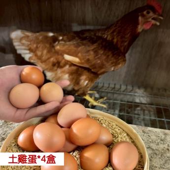 【4盒含運優惠組❷】<br>明川葉黃素紅仁土雞蛋*4盒