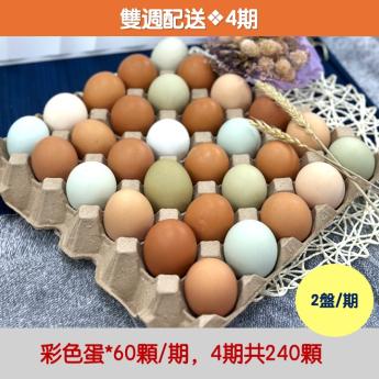 【雙週配送｜4期】<br>明川彩色蛋*60顆