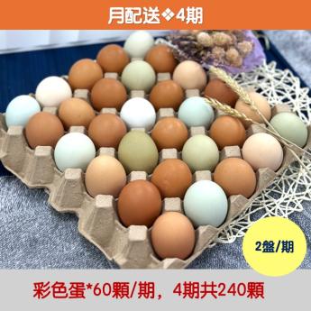 【月配送｜4期】<br>明川彩色蛋*60顆