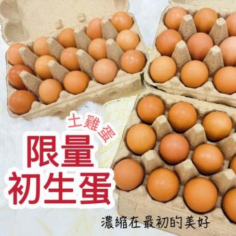 【預購｜出貨通知】<br>初生土雞蛋