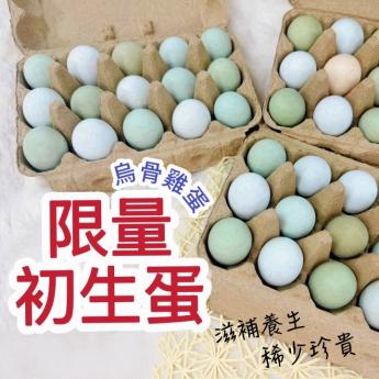 【預購｜出貨通知】<br>初生烏金蛋