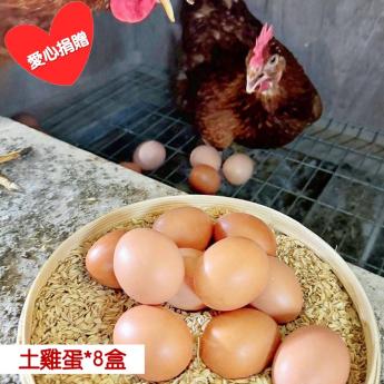 【捐贈含運組❸】<br>明川葉黃素紅仁土雞蛋*8盒